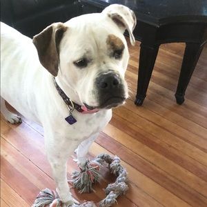 Meet your Posher, Heather